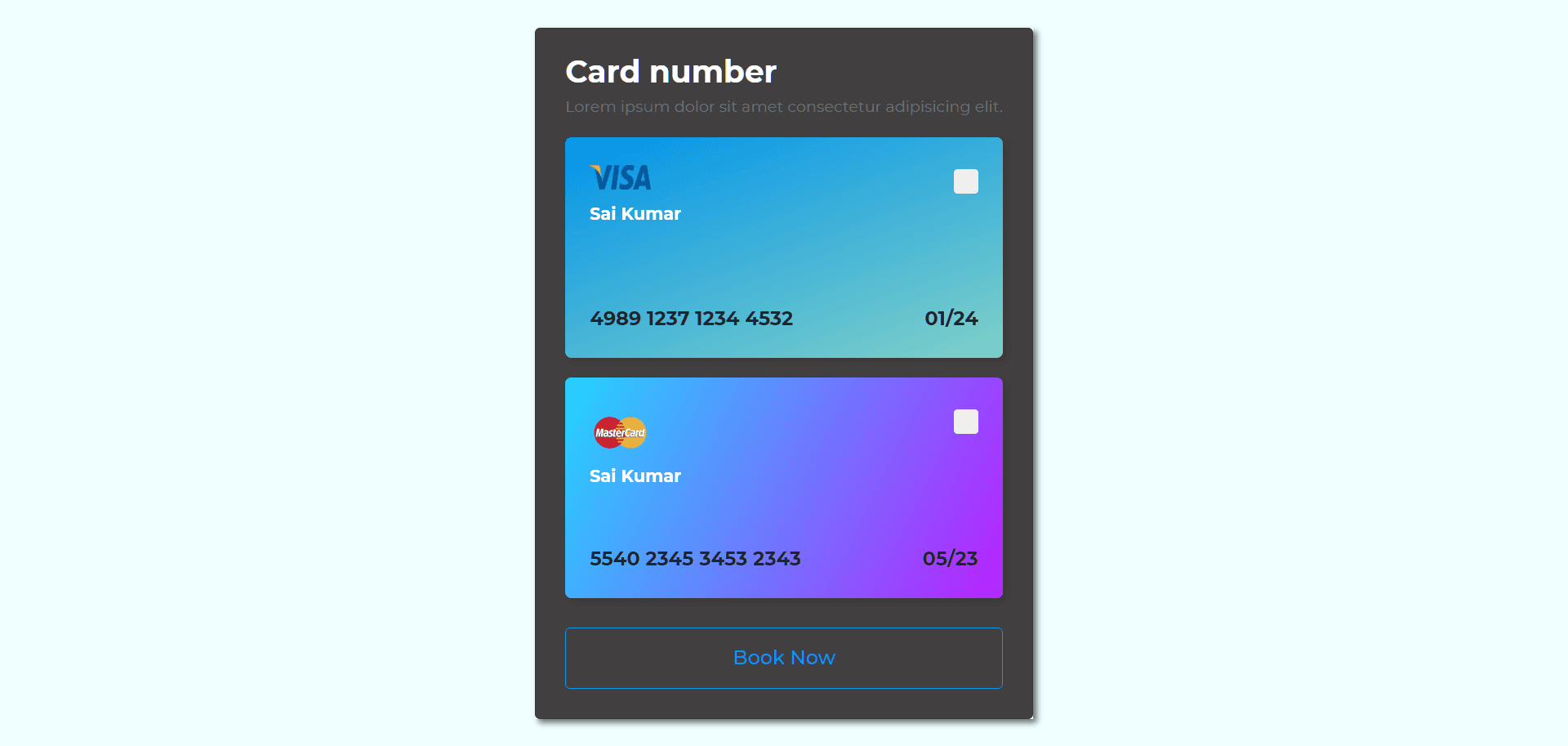 Credit Card Payment Form